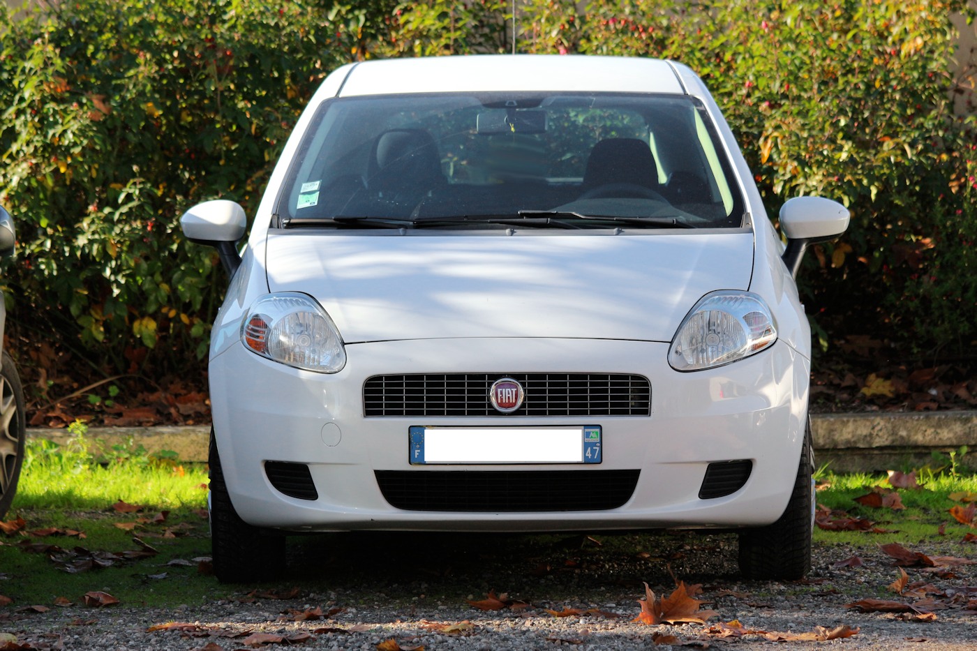 Fiat Punto : essais, comparatif d'offres, avis